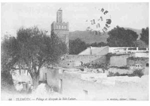 TLEMCEN VILLAGE ET MOSQUEE DE SIDI LAHSEN